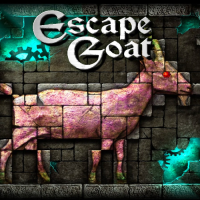 000_202508141452_EG800