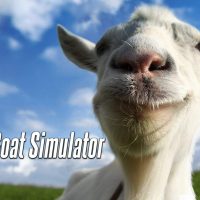 goat_800_5