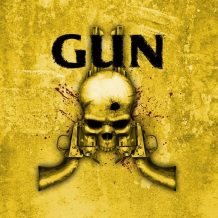 gun_700_1