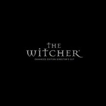 witcher_1_700_2